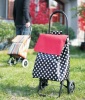 2012 Top newest shopping trolley bag XS0117