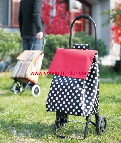 2012 Top newest shopping trolley bag XS0117