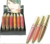 Bullet Color lip gloss