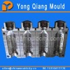 Plastic Blowing Bottle Mould