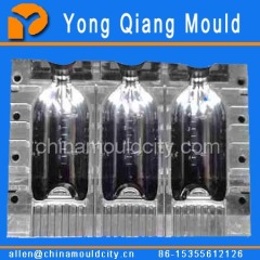 Plastic Blowing PET bottle Mould