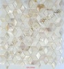 Shell mosaic wall tile