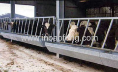 cattle equipment cattle free stall cattle feed troughs IN-M141