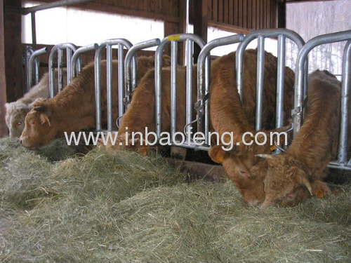 cattle equipment cattle feeders IN-M143