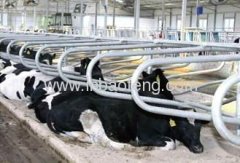 cattle equipment cattle free stall cattle pen IN-M146