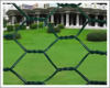 Hexagonal Wire Mesh