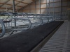 cattle equipment cattle free stall cattle stalls IN-M161
