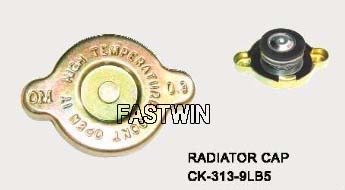 Radiator Cap Sizes for CK-313-9LB5