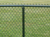 PVC coated chain link wire mesh fence(Anping factory)
