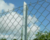 GI Chain Link Fence