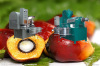 Palm Oil Fractionation Equipment