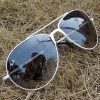 Cool sunglasses(10)