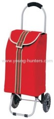 stylish designer shopping trolley bag