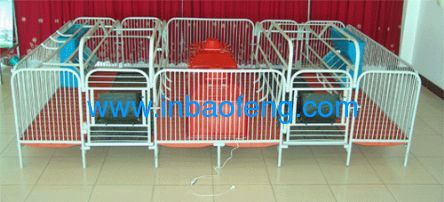 Hot Dipped Galvanized Pig Farrowing Stall