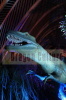 robotic dinosaur,theme park,zigong manufacturers