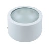 8&quot; Aluminum Die-casting with Glass Surface Mounted Downlight