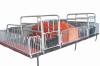high quality galvanized pipe pig farrowing crate