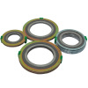 Spiral Wound Gasket (with inner & outer ring)