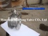 Wafer Ball Valve with ISO5211 Mounting Pad