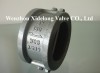 Dual Plate Check Valve(Cast steel body)