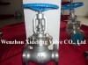 Globe Valve