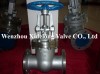 Welded Globe Valve