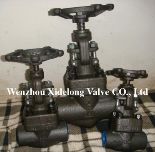 Forged Steel Globe Valve