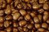 coffee bean seeds