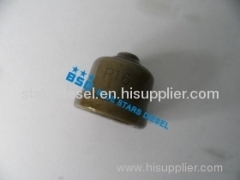 Delivery Valve P16