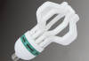 T6 Lotus Energy Saving Bulb/85W /8 000 Hours