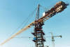sell various self-erecting tower crane