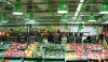 Cord Pendant Metal Halide Fixture For Supermarket Lighting