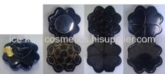 plastic cosmetic case