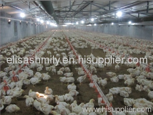 Poultry Farming Equipment