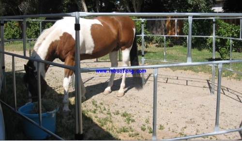 p-i12 new style high quality horse corral panel