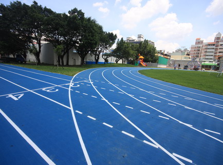 Track and Field Surface, Prefabricated Rubber Running Track Surface