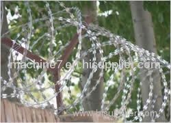 Razor Wire Mesh