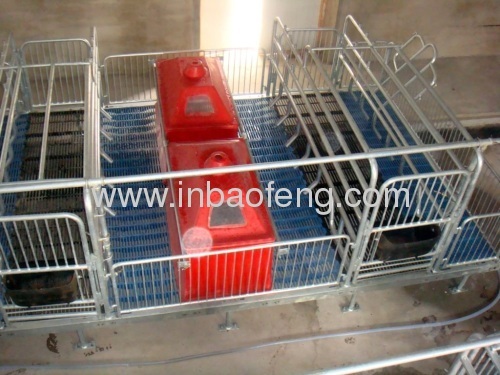 Adjustable Farrowing Crates for Pigs