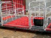 Elevated Farrowing Crate farming equipment