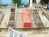 Best sales Pig equipment Piglet Crate