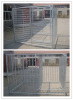 hot dip galvanized dog run kennel