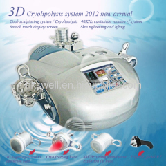 3D cryolipolysis fat freezing cooling slimming machine 2012 new arrival