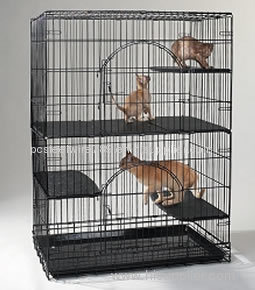 Cat Cage