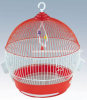 Round Bird Cages