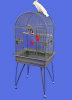 Parrot Cage