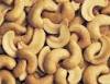 CASHEW NUTS AND KENNELS FOR SALE