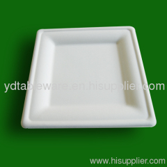 Rectangular paper plate,paper tray