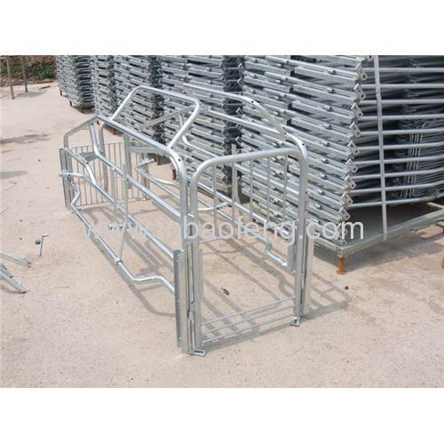 Hot sales pig equipment farrowing crates for pigs