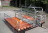 Advanced galvanized pipe sow farrowing crates