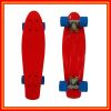 Plastic Skateboard New PP Pedal PU Wheels Aluminum Fork Penny skate board Fish board